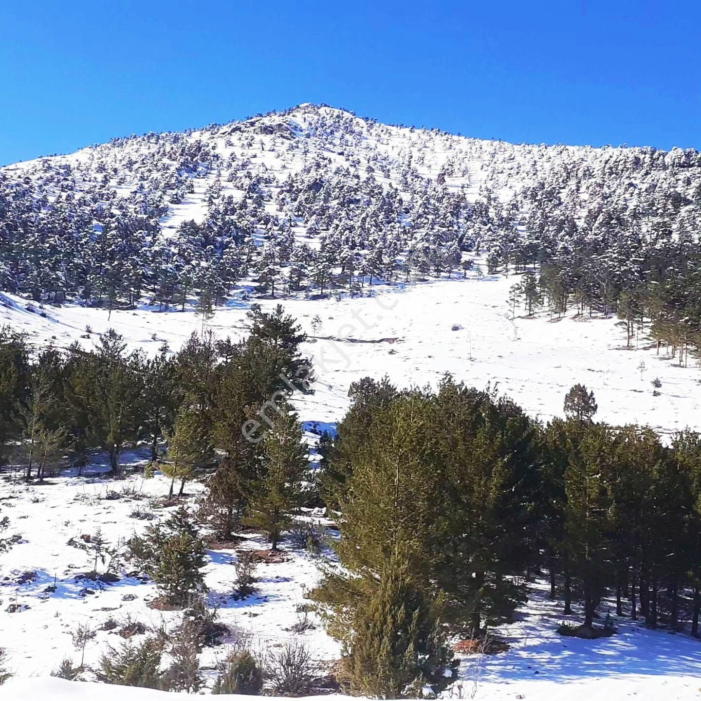 Pozantı Yeni Konacık Körimenlik Mevkiinde Satılık Arsa - Görsel 24
