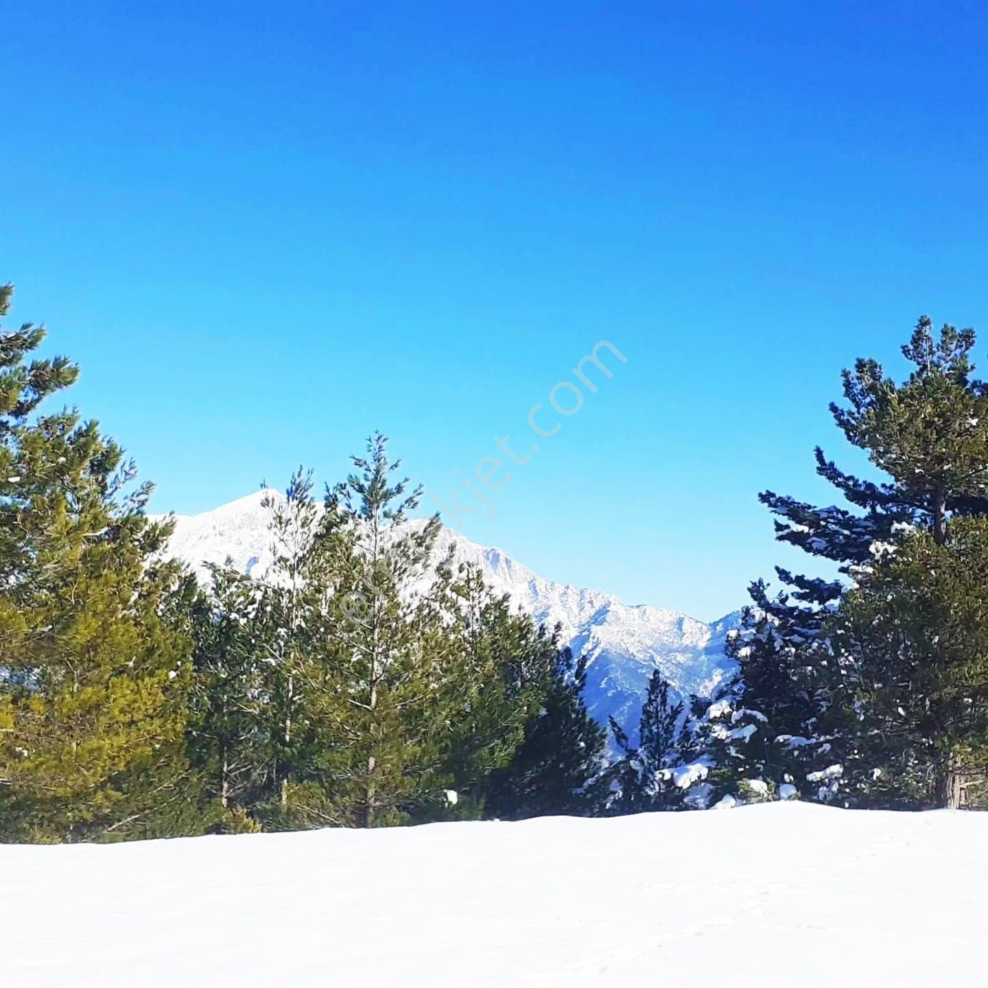 Pozantı Yeni Konacık Körimenlik Mevkiinde Satılık Arsa - Görsel 16