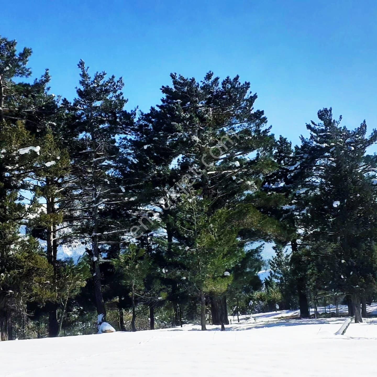 Pozantı Yeni Konacık Körimenlik Mevkiinde Satılık Arsa - Görsel 17