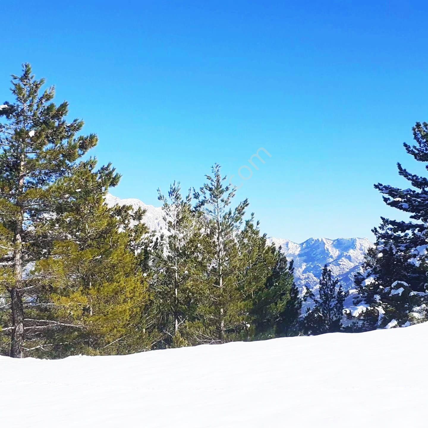 Pozantı Yeni Konacık Körimenlik Mevkiinde Satılık Arsa - Görsel 20
