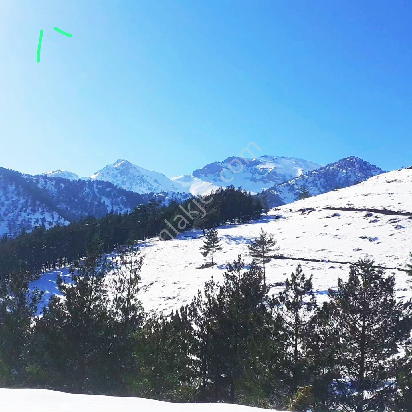Pozantı Yeni Konacık Körimenlik Mevkiinde Satılık Arsa