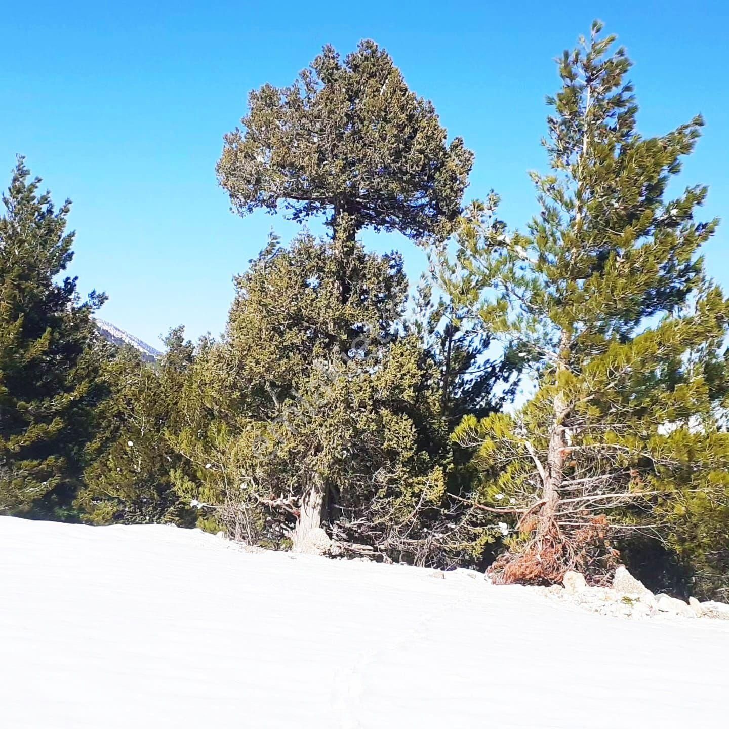 Pozantı Yeni Konacık Körimenlik Mevkiinde Satılık Arsa - Görsel 4