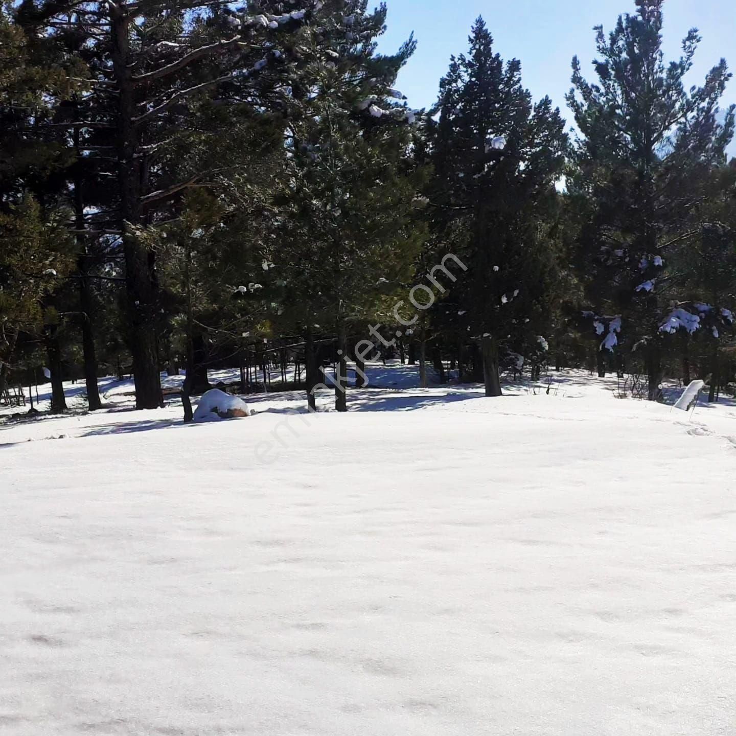 Pozantı Yeni Konacık Körimenlik Mevkiinde Satılık Arsa - Görsel 22