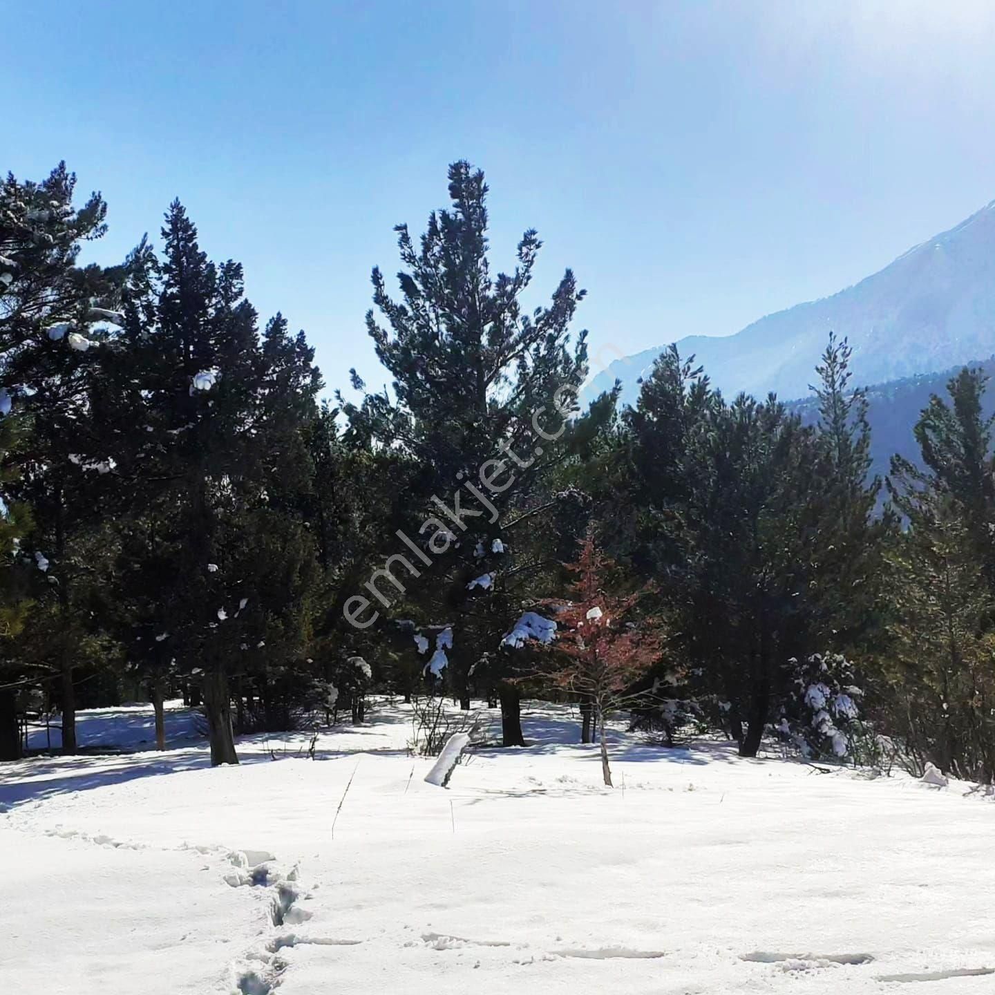 Pozantı Yeni Konacık Körimenlik Mevkiinde Satılık Arsa - Görsel 5