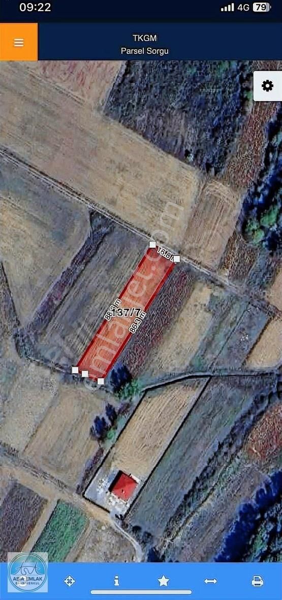 Asia'dan Bölgenin En Ucuz Arazisi
