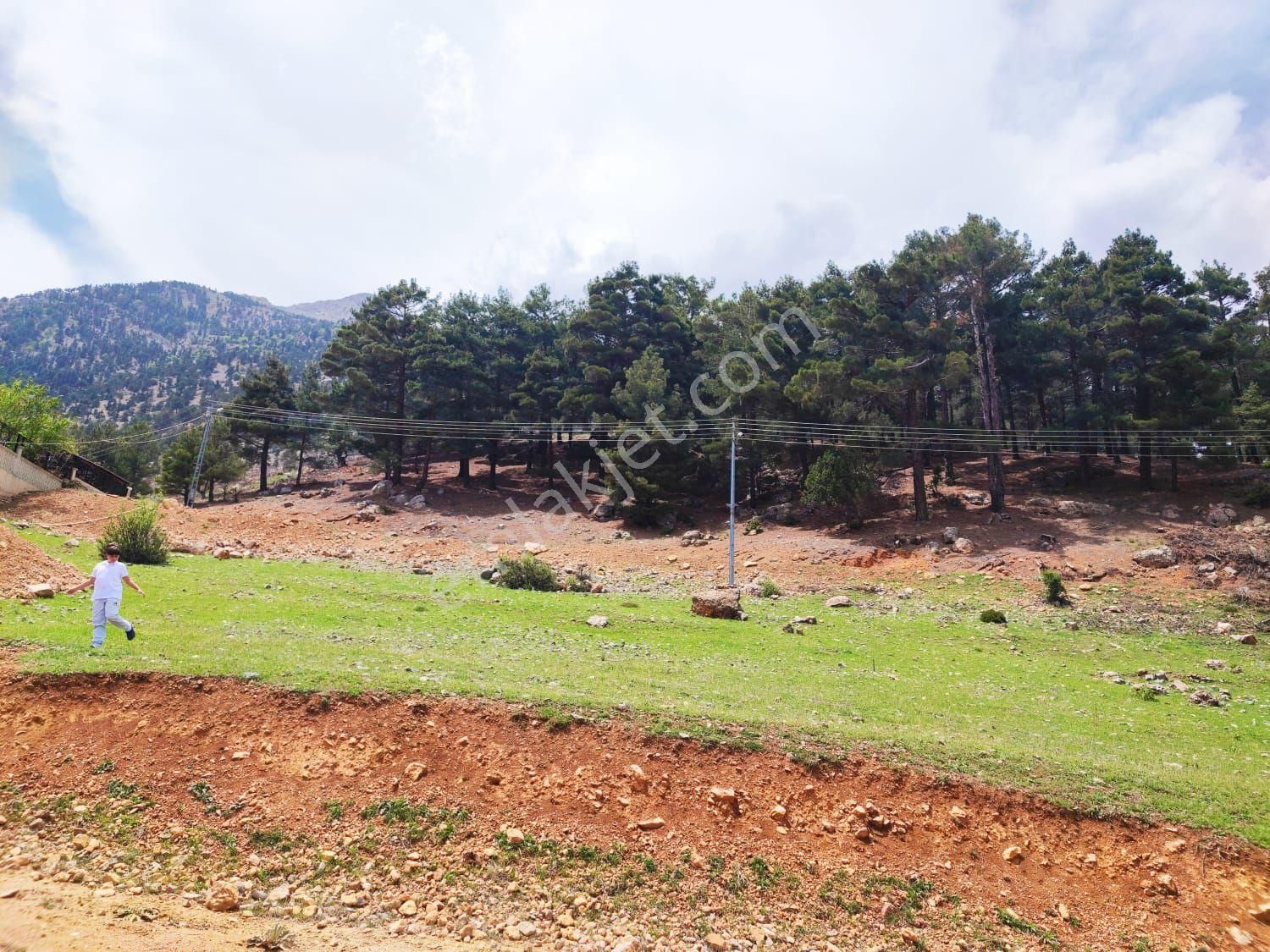 Pozantı Konacık Bozkırlı Mevkiinde Satılık Arsa - Görsel 9