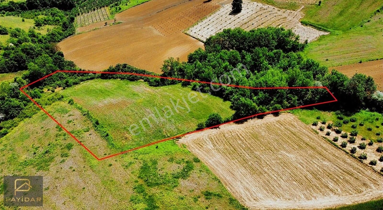 Kaymazerikli Köyü'nde 10.599 M2 Arazi , Asfalt Yola 250 Metre !