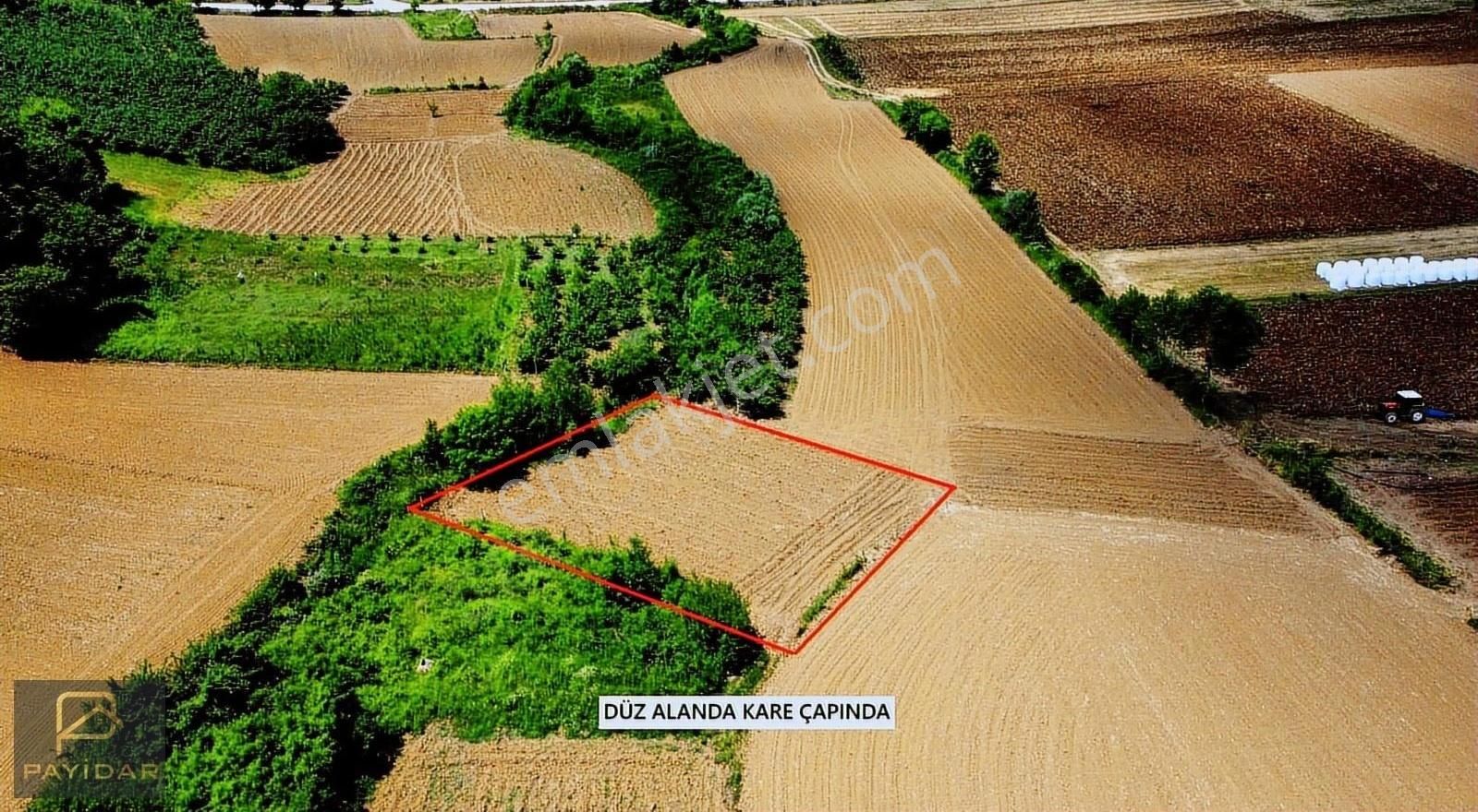 Kare Çapında , Kandıra Merkeze 3 Km Mesafede , Kupon Arazi!