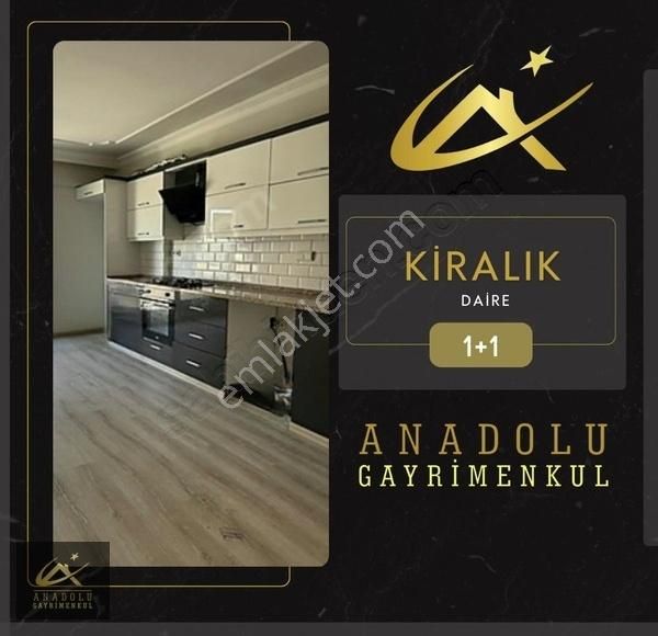 Anadolu'dan Kurtuluş Okulu Yakını Cadde Üstü 1+1 Kiralık Daire