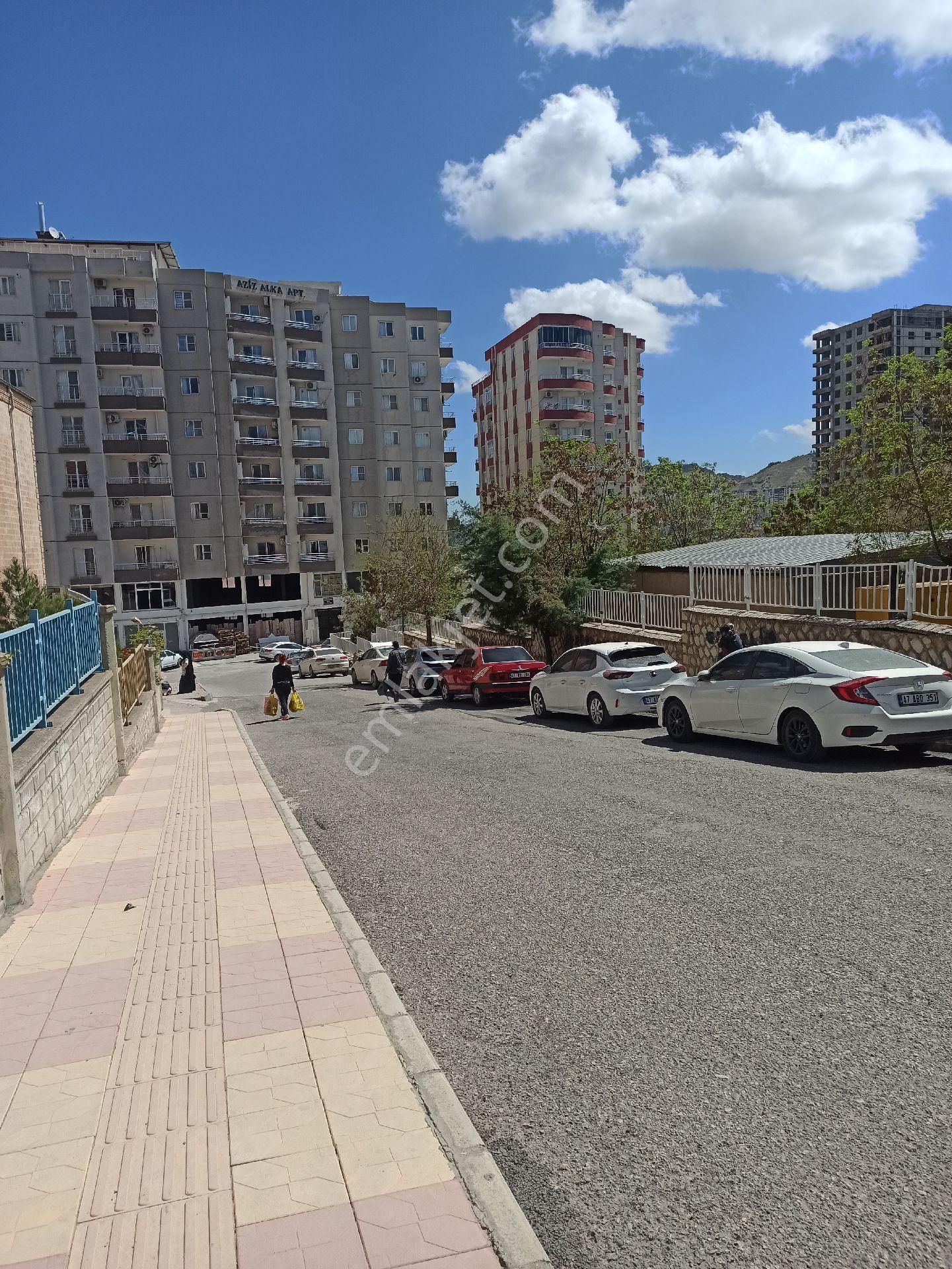 Güneş Girer Dr Sadece Kiraci Girer