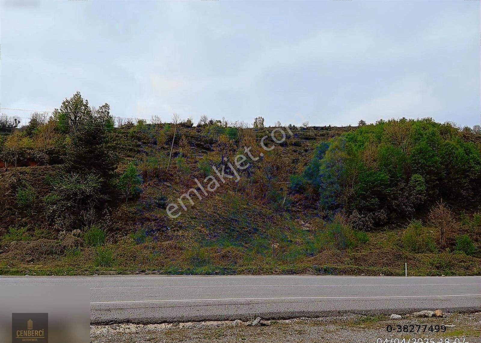 Zonguldak Celebcioğlu Köyünde Satılık 1.274 Mt2 Fırsat Arsa