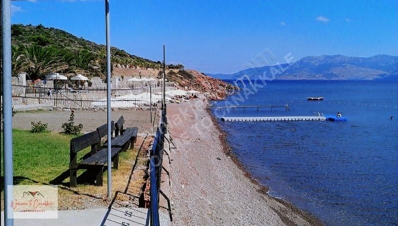 Çanakkale Ayvacık Kocaköy De Satılık Zeytinlik Kazançlı Yatırım