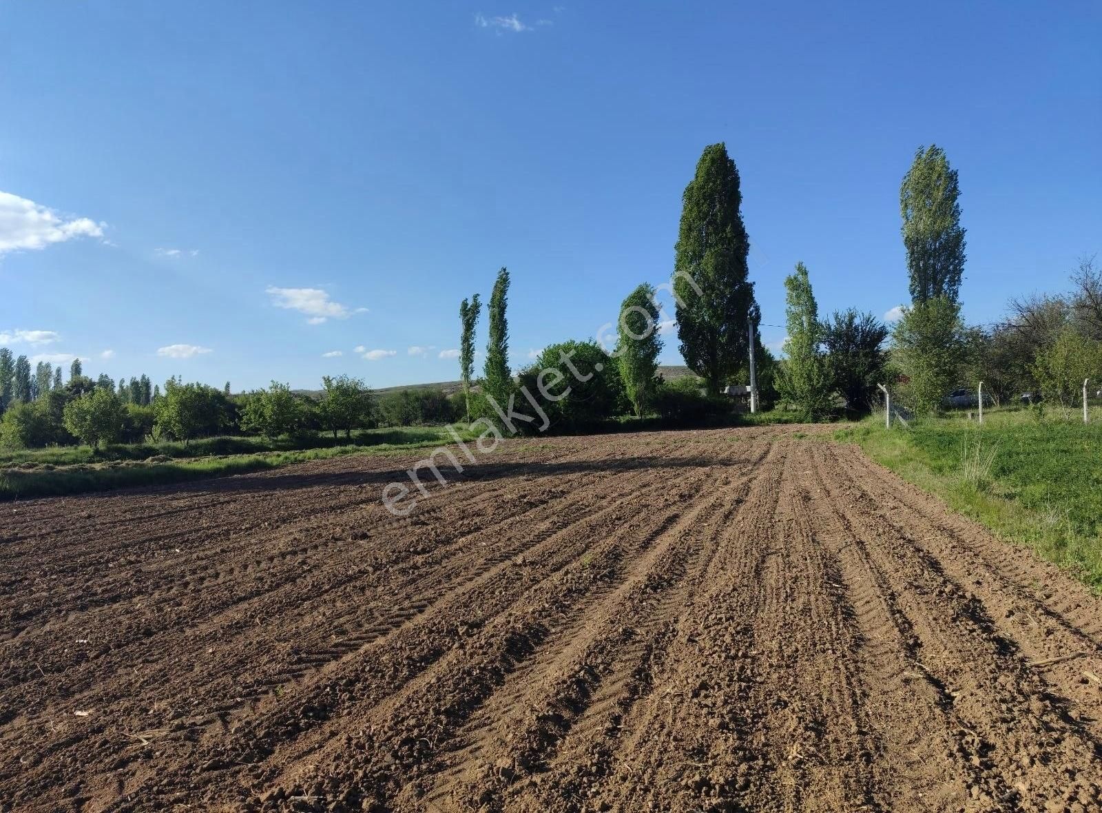 Asel'den P. Ören Konutlaşma Alanında Yol Ve P. Ören 750 M2 Hisse