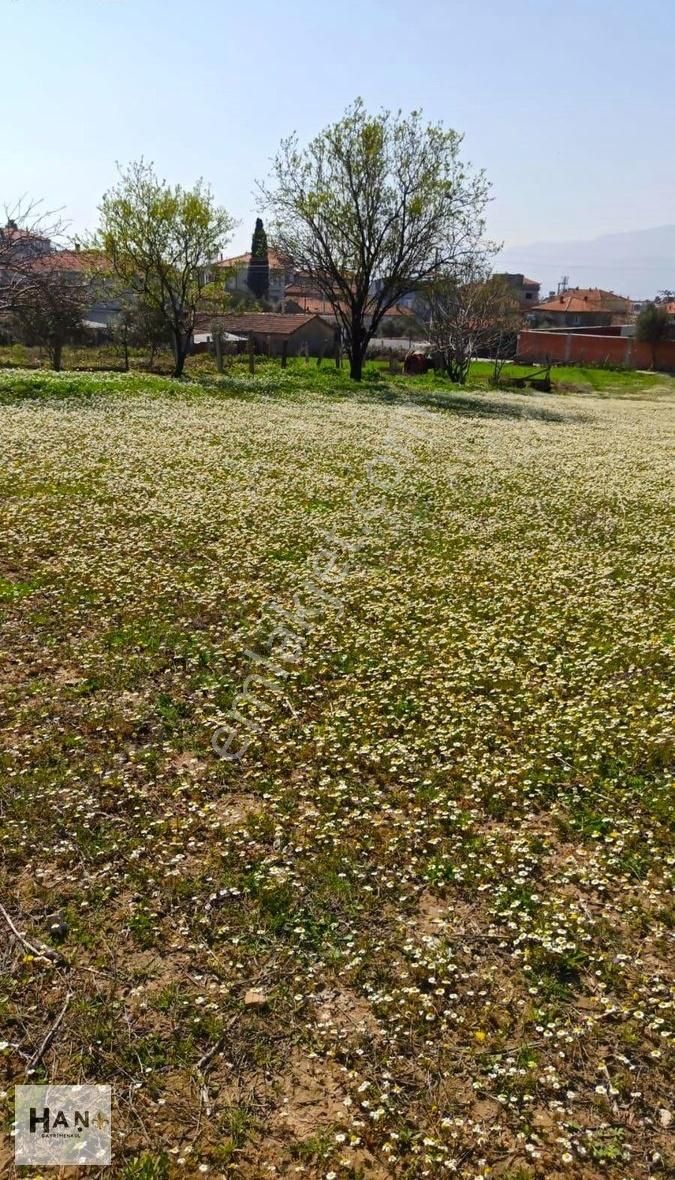 Saruhanlı Koldere Konut İmarlı 277m2 İmarlı Arsa Süper Konum!!