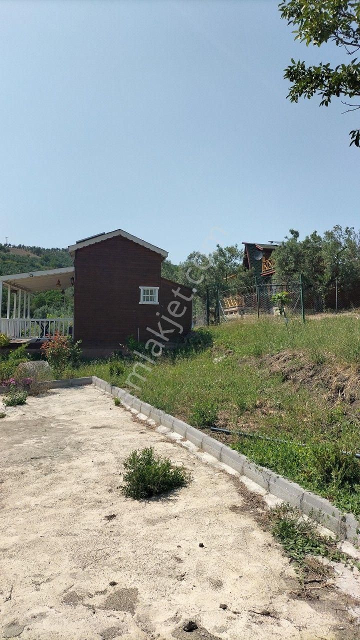 Mudanya/çınarlı'da Tek Tapu İçinde Tınny House'lu Hobi Bahçesi - Görsel 8