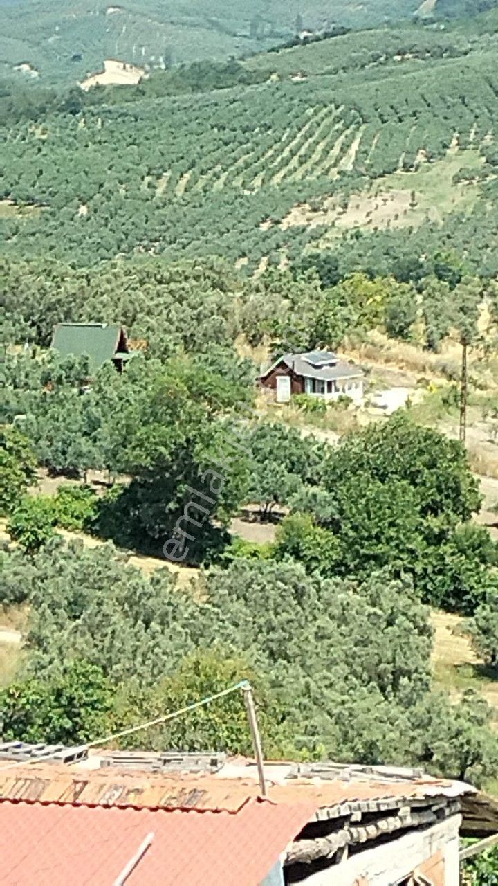 Mudanya/çınarlı'da Tek Tapu İçinde Tınny House'lu Hobi Bahçesi - Görsel 7