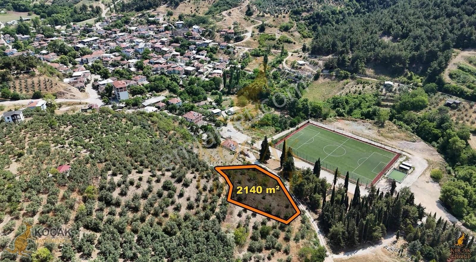 Koçak Group'tan Dereköy'de Yatırımlık Zeytinlik