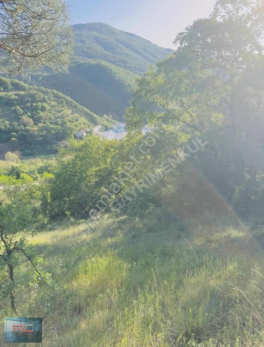 Bursa Osmangazi Çaybaşı Köyü Satılık Tarla