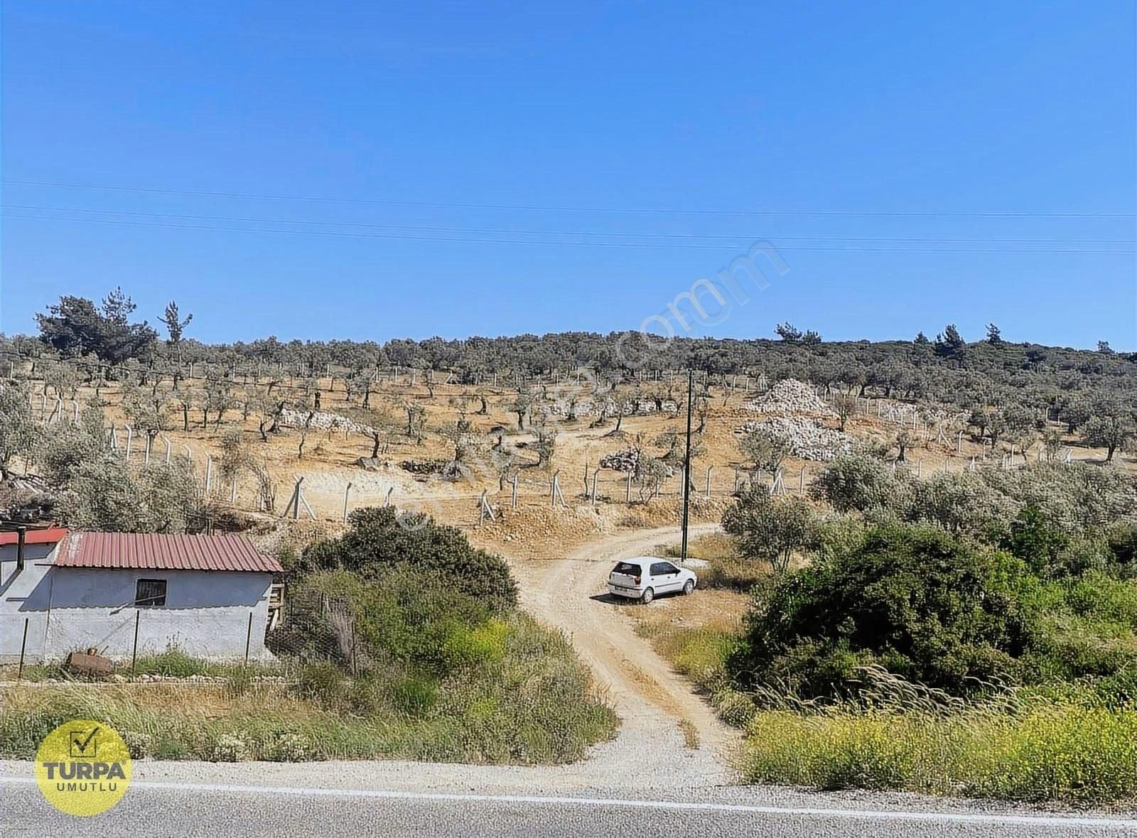 Hayalinizdeki Deniz Manzaralı Zeytinlik - Görsel 22