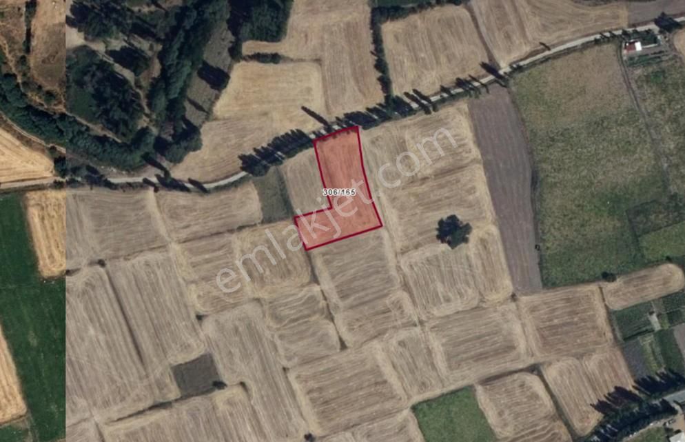 Bostandere Mah. Yol Kenarını Bahçeye Uygun 2665 M2