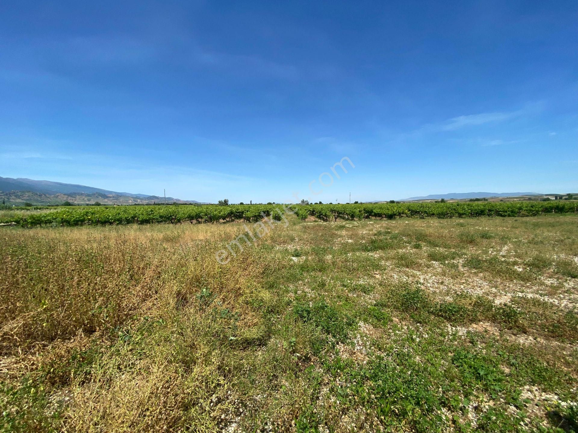 Ada Gayrimenkul'den Kavaklıdere Mah.de 17.921 M² Satılık Bağ