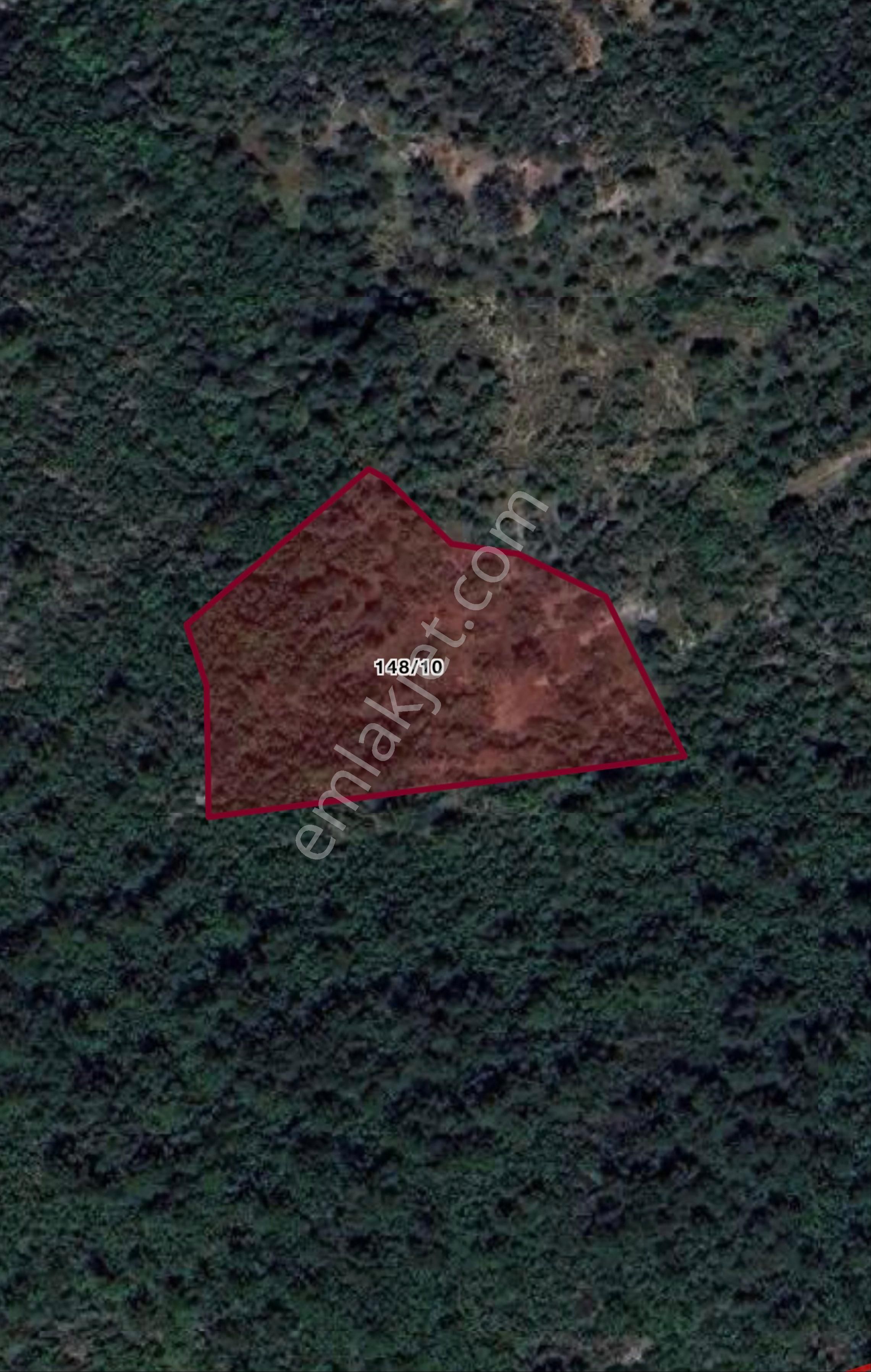 Alanya Karamanlarda Satılık 6.000 M2 Tarla
