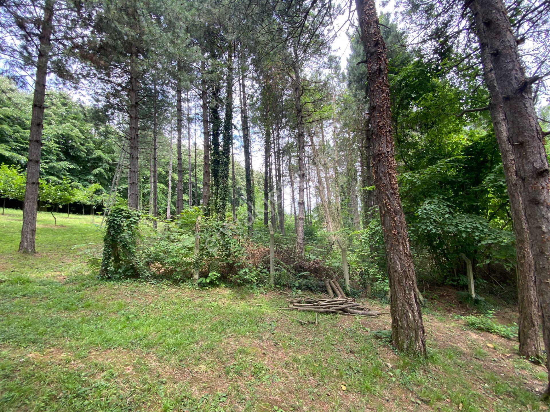 Sapanca Mahmudiye’de Göl Manzaralı 9.061 M2 Villa İmarlı Arsa - Görsel 14