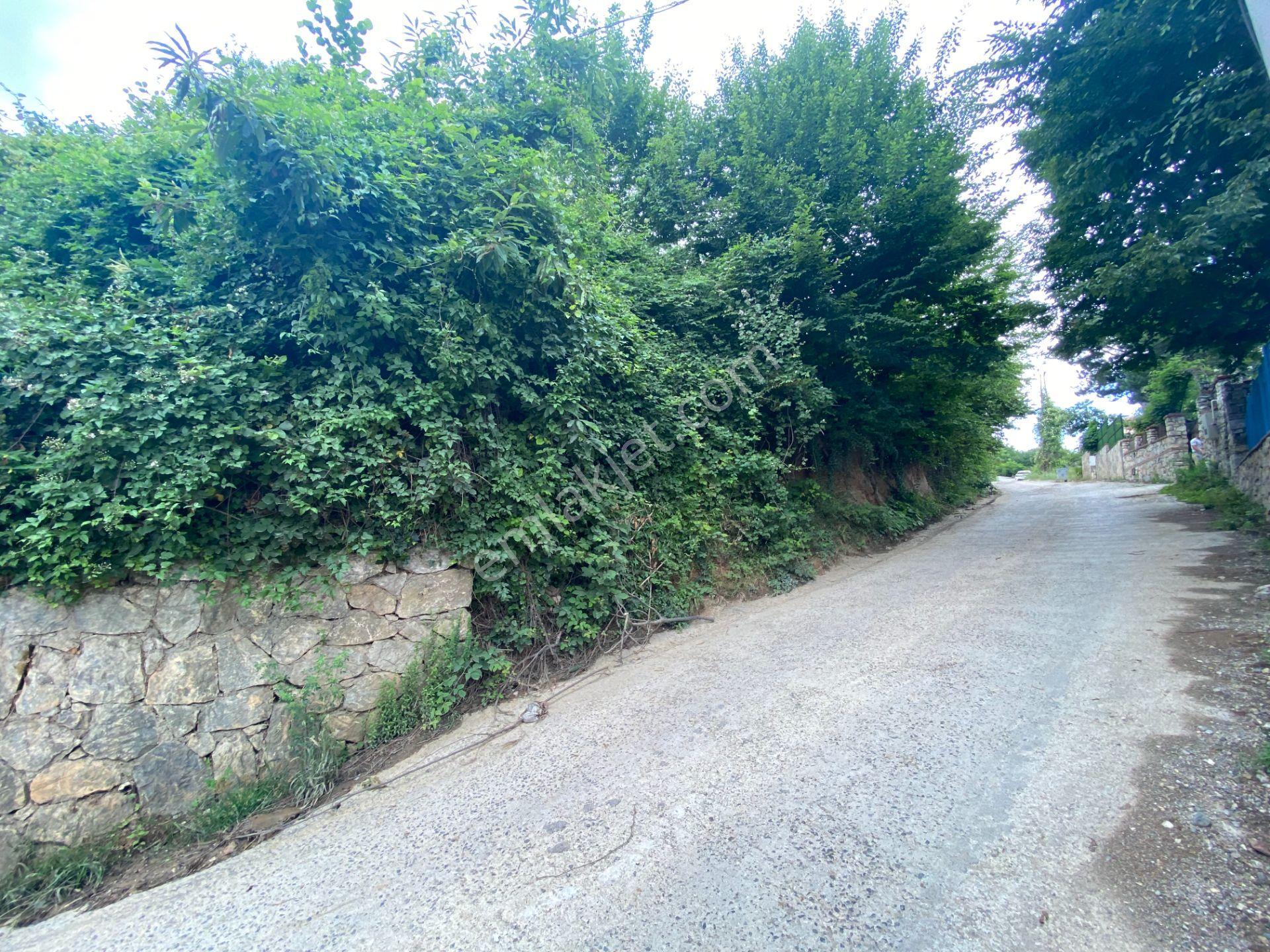 Sapanca Mahmudiye’de Göl Manzaralı 9.061 M2 Villa İmarlı Arsa - Görsel 8