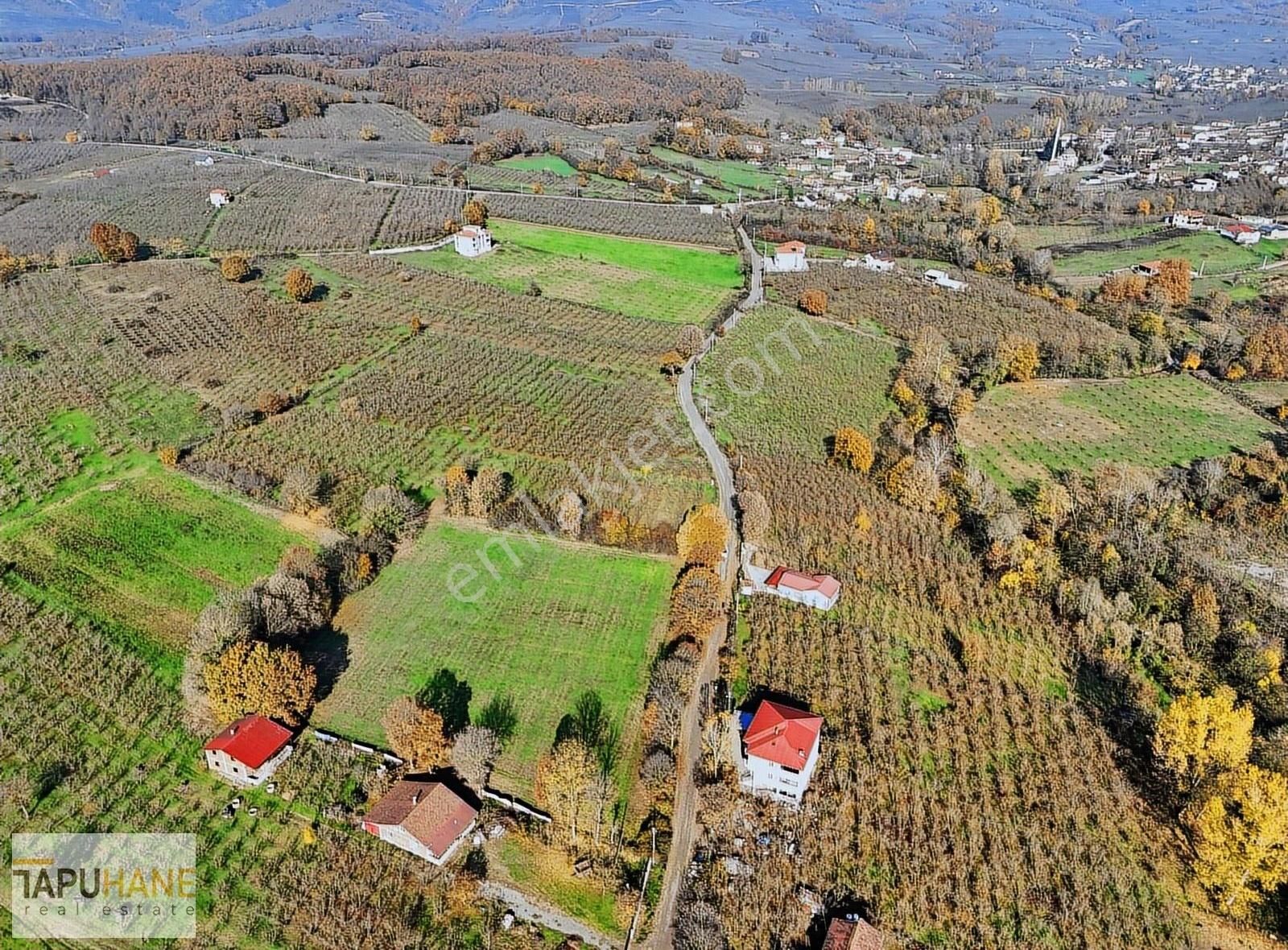 Tapuhaneden Lütfiyeköşk Mah.de 8.786 M2 Satılık Arsamız