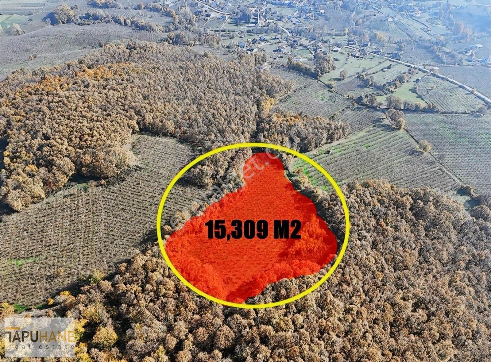 Tapu Haneden Lütfiyeköşk Mah.15.309 M2 Satılık Arsamız
