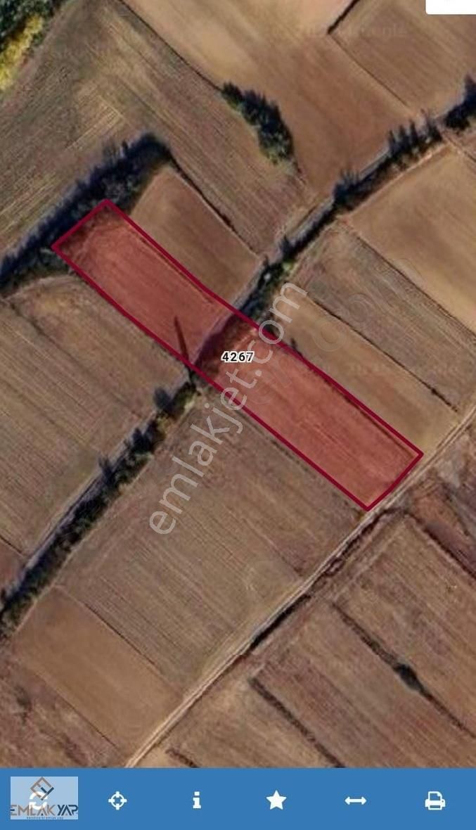 Emlakyap Tan Kırklareli Kavaklı Da 3450 M2 Satılık Tarla