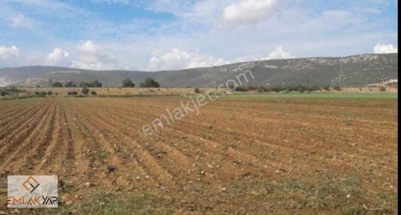 Emlakyap'tan Akören Ağalarda Bozkır Yoluna Cephe Müstakil Tarla