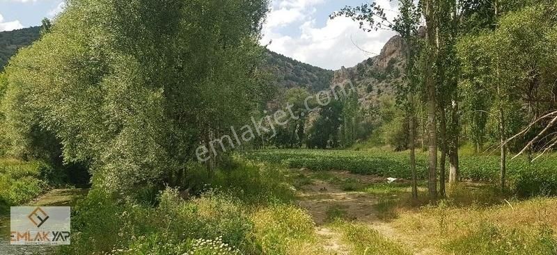 Emlakyap'tan Bozkır Merkezde Satılık Müstakil Tapulu Bahçe