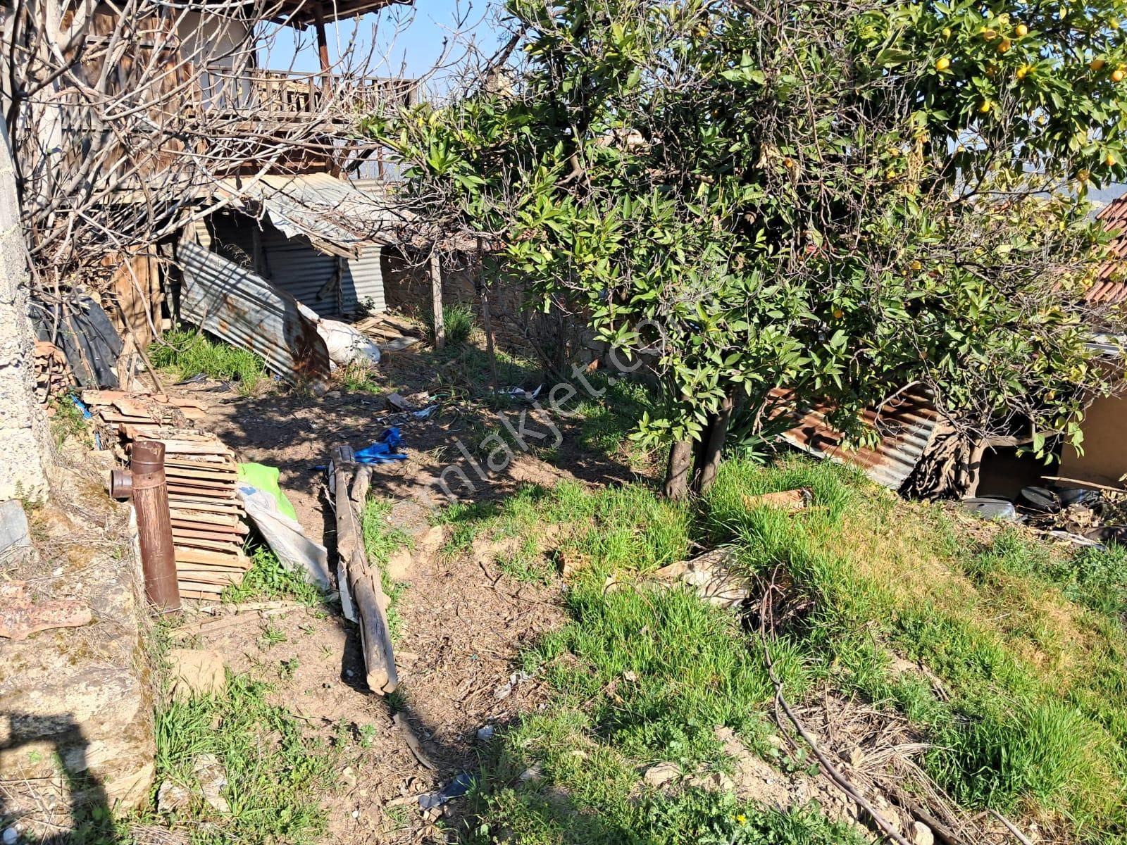Bozdoğan Kamışlar'da Satılık Köy Evi - Görsel 13