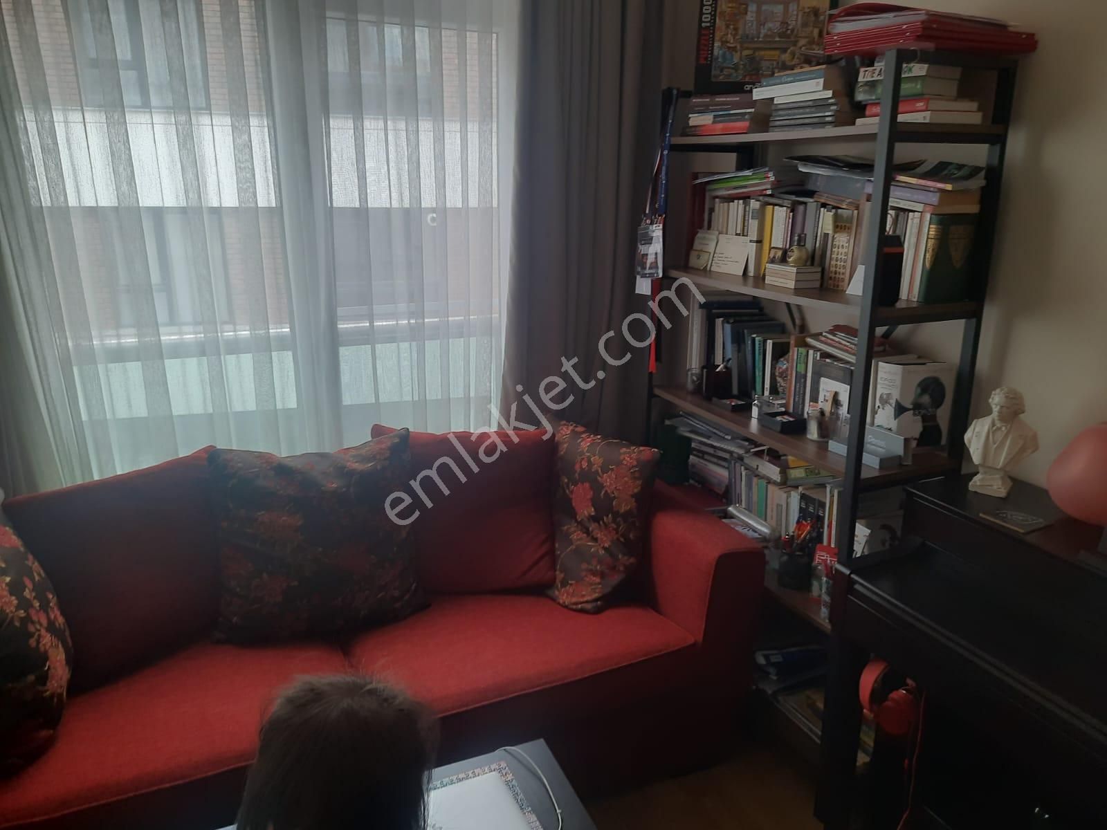 Buket Emlaktan Sütlüce Mah. Eşyasız Kiralık 1+1 Daire