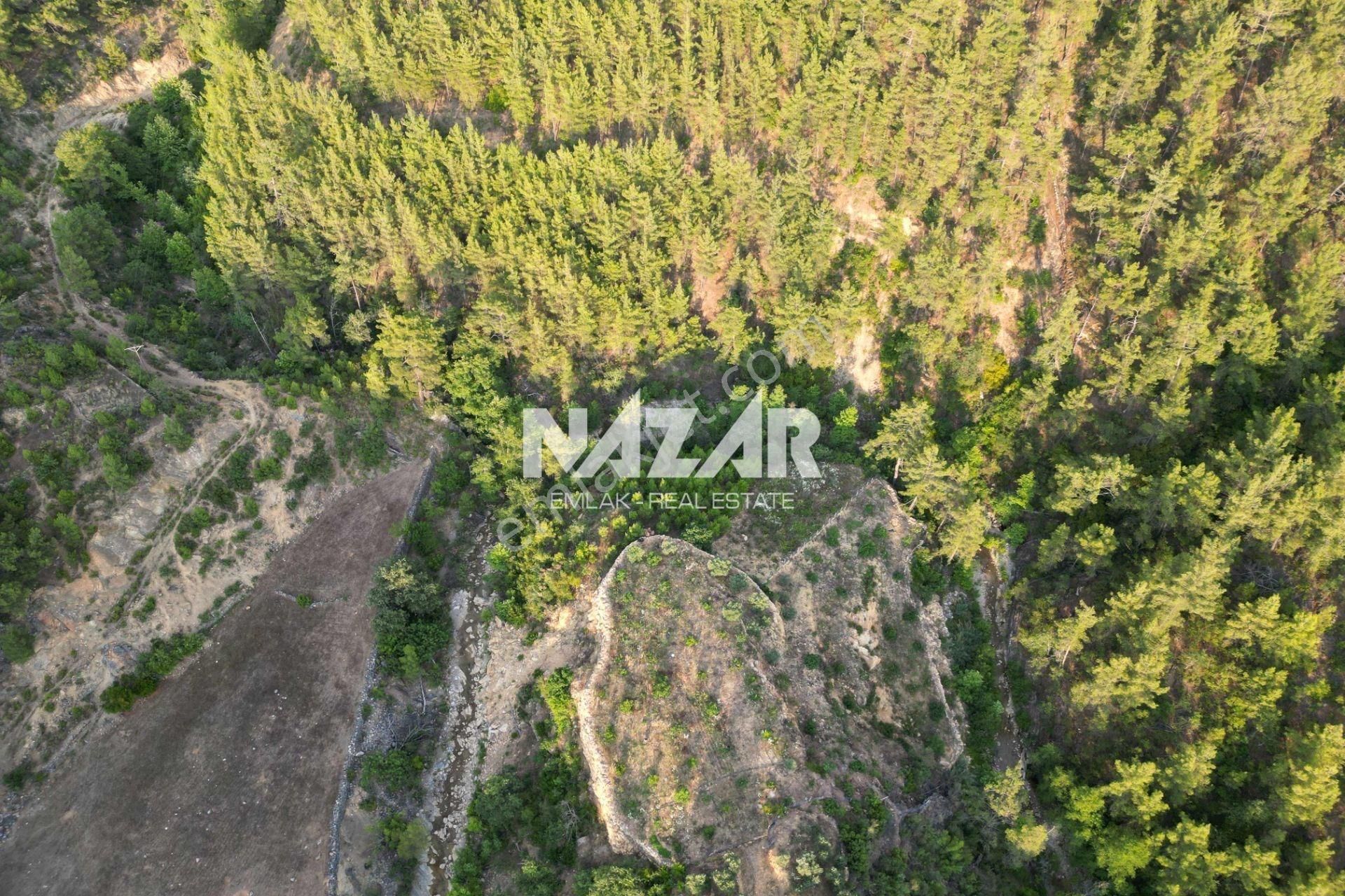 Gazipaşa Yeniköy'de Satılık 928 M² Tarla