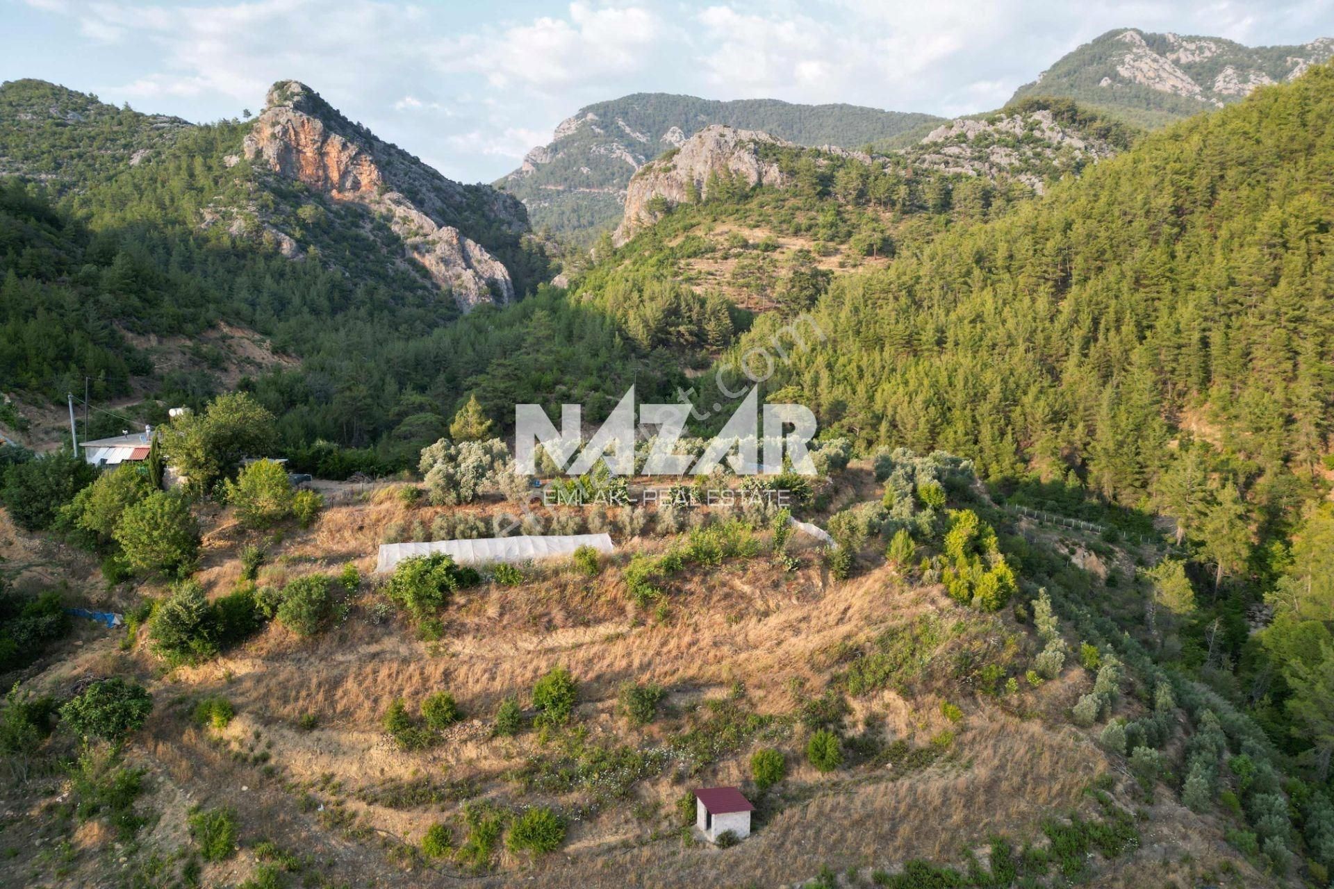 Gazipaşa Yeniköy'de Satılık 2.682 M² Tarla