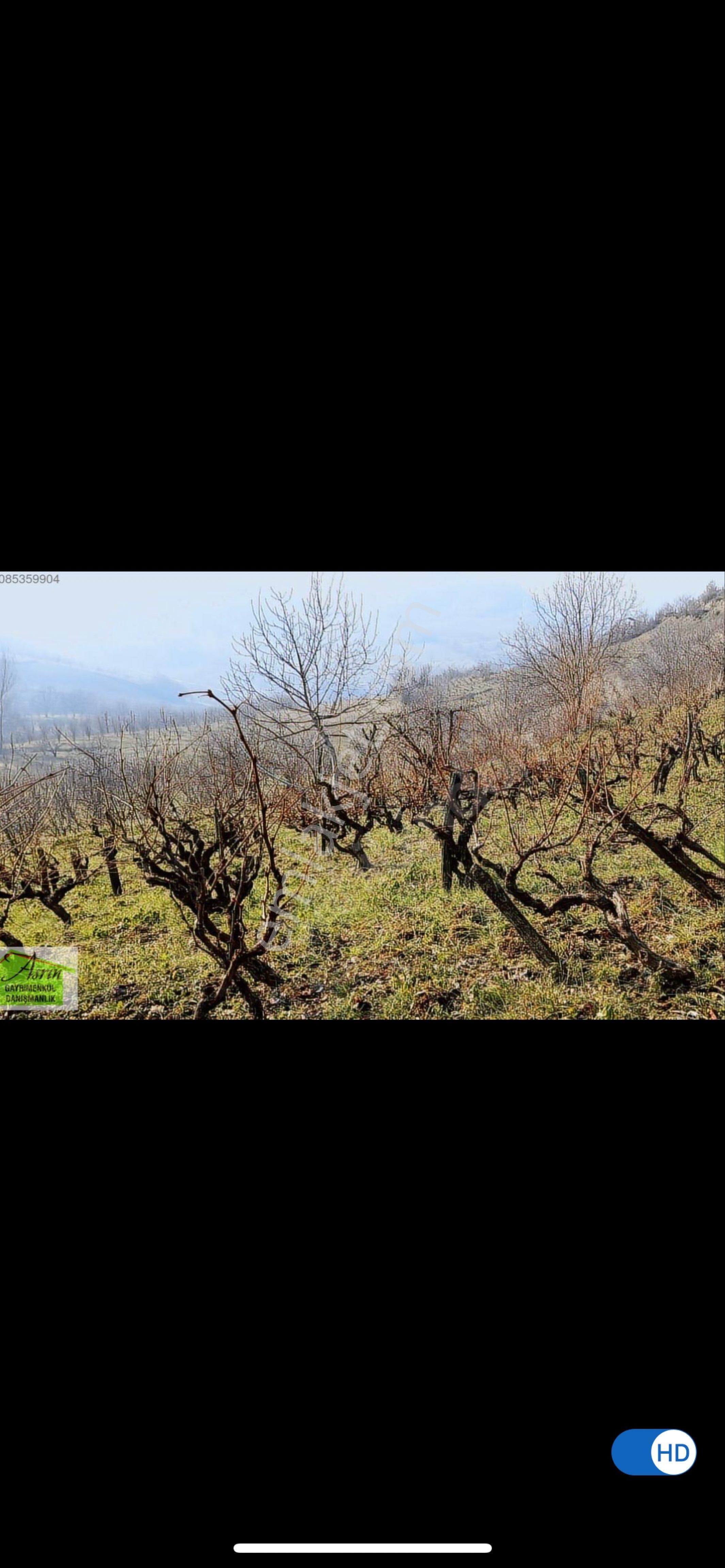 Acil Satlik Tarla - Görsel 4