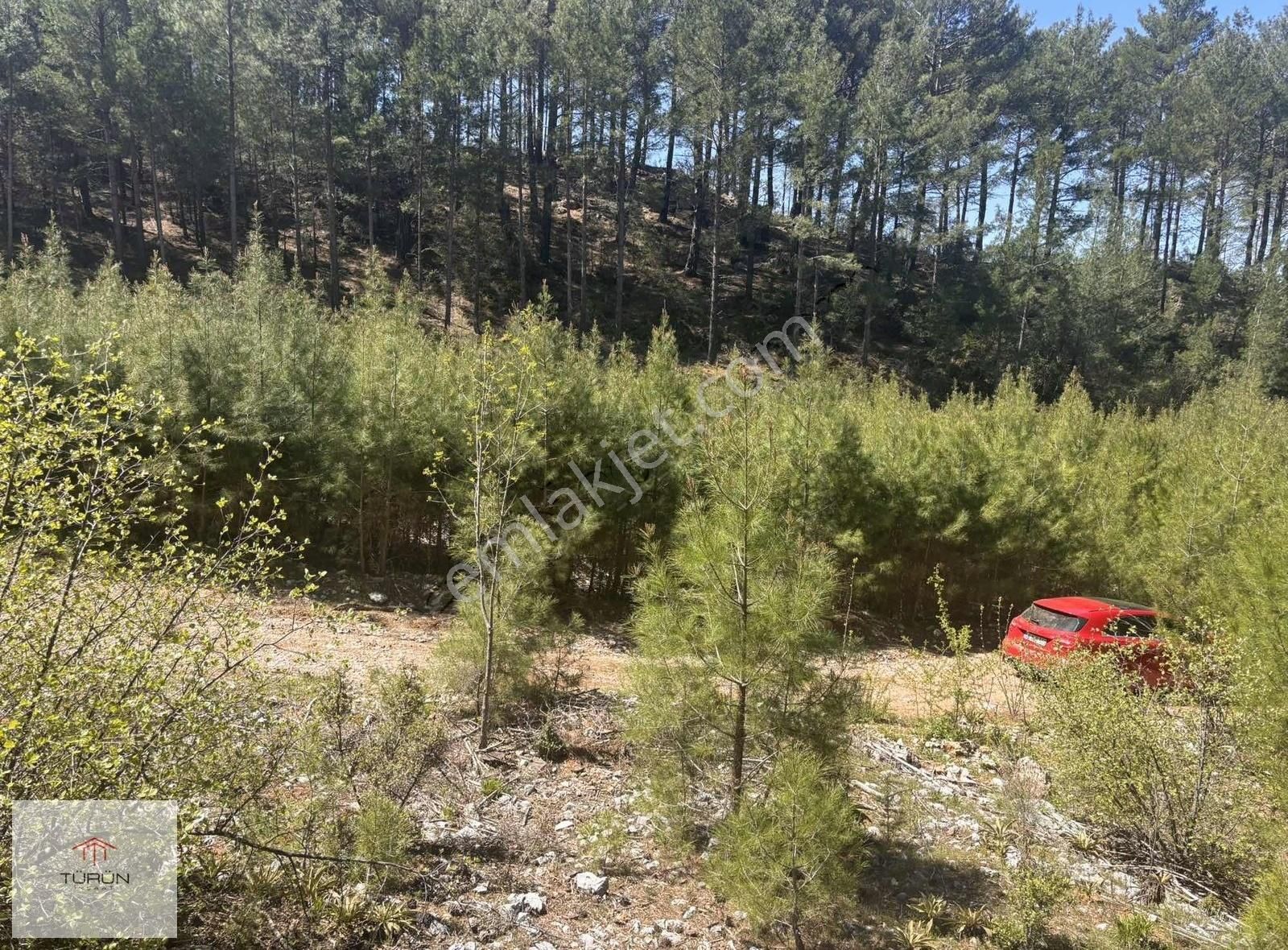 Fethiye Nif Mahallesinde 2968 M2 Satılık Tarla