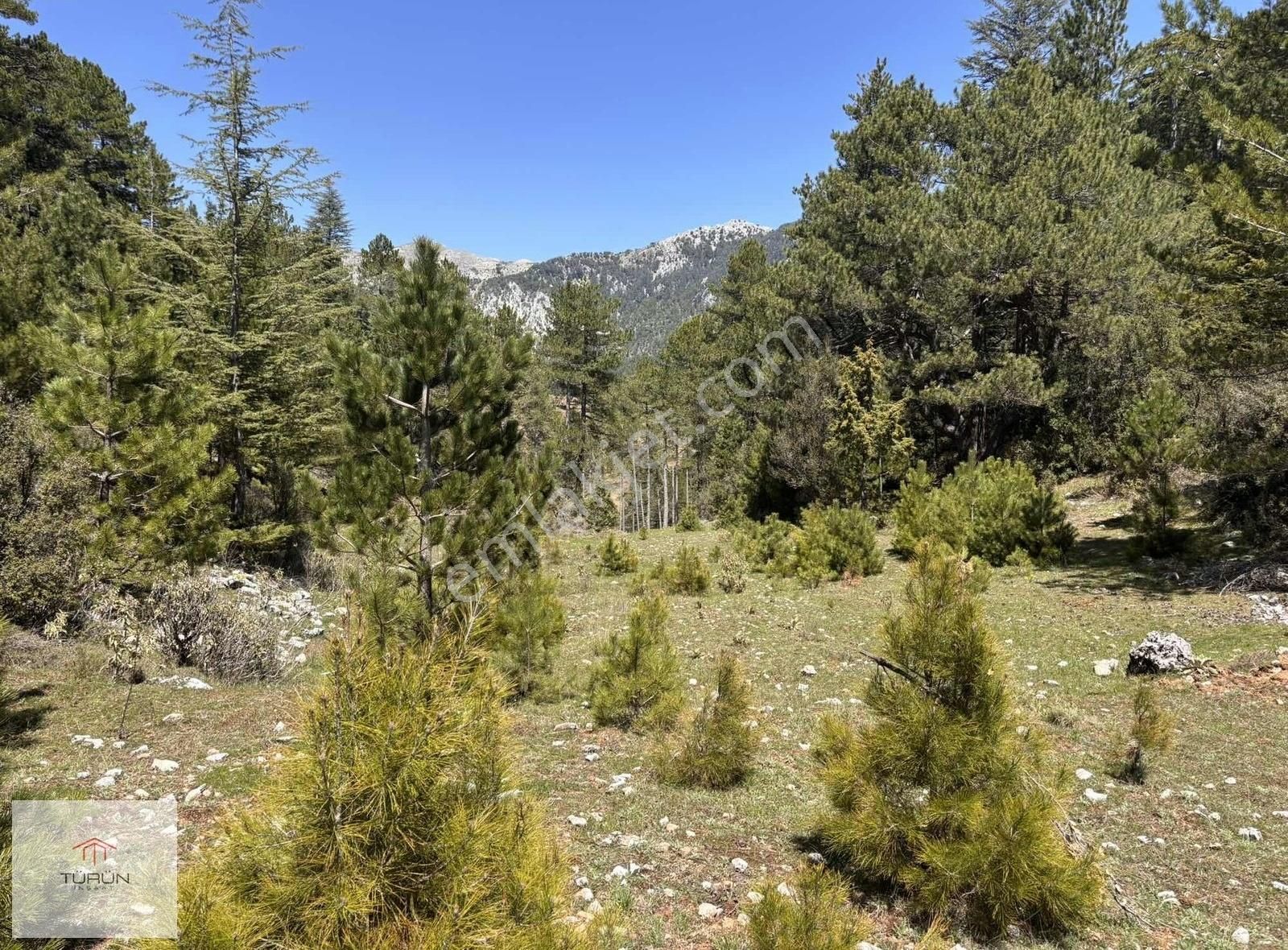 Fethiye Yayla Koruda 9495 M2 Satılık Tarla