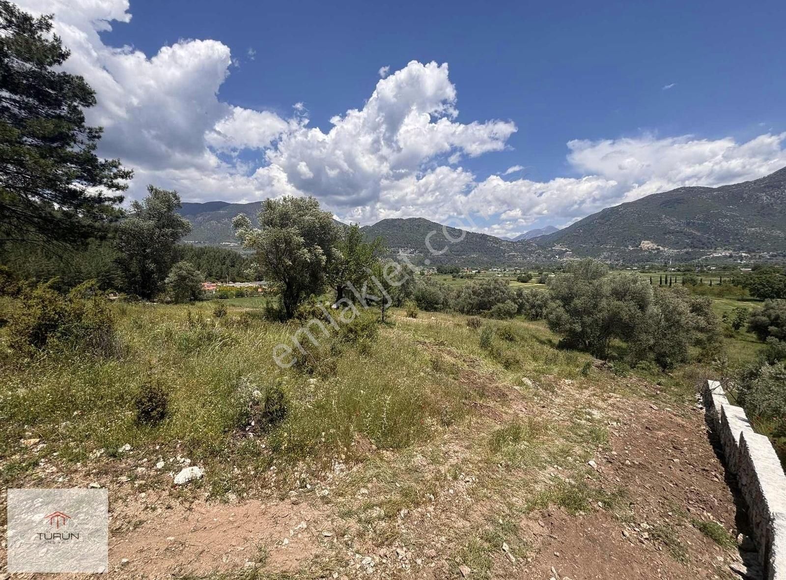 Fethiye Yeşilüzümlü Mahallesinde 1450 M2 Tek Tapu Satılık Tarla