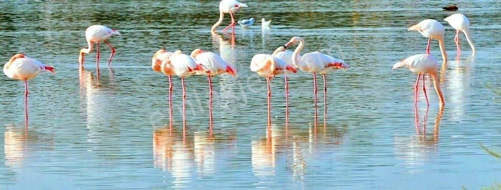 Adabükü Fcc'de Özel Plajlı, Havuzlu Sitede 2+1 Satılık Daire - Görsel 26