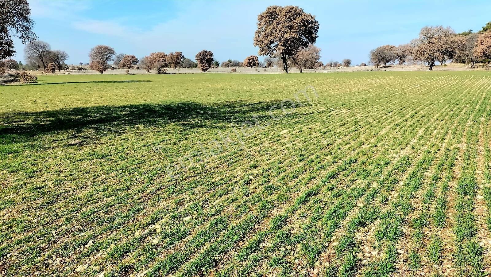 Uşak Eşme Karacaömerlı'de 23.597 M² Yatırımlık Tarla!