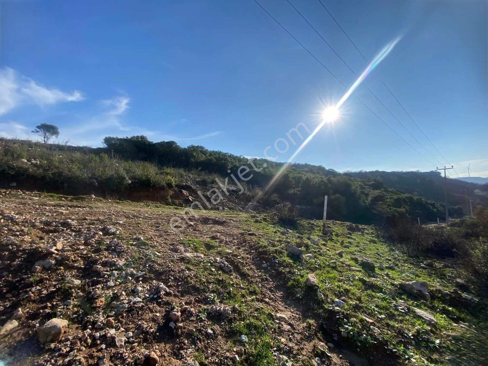 Didim Akyeniköy Bozseki Mevkisinde 358 M2 Manzaralı Arsa