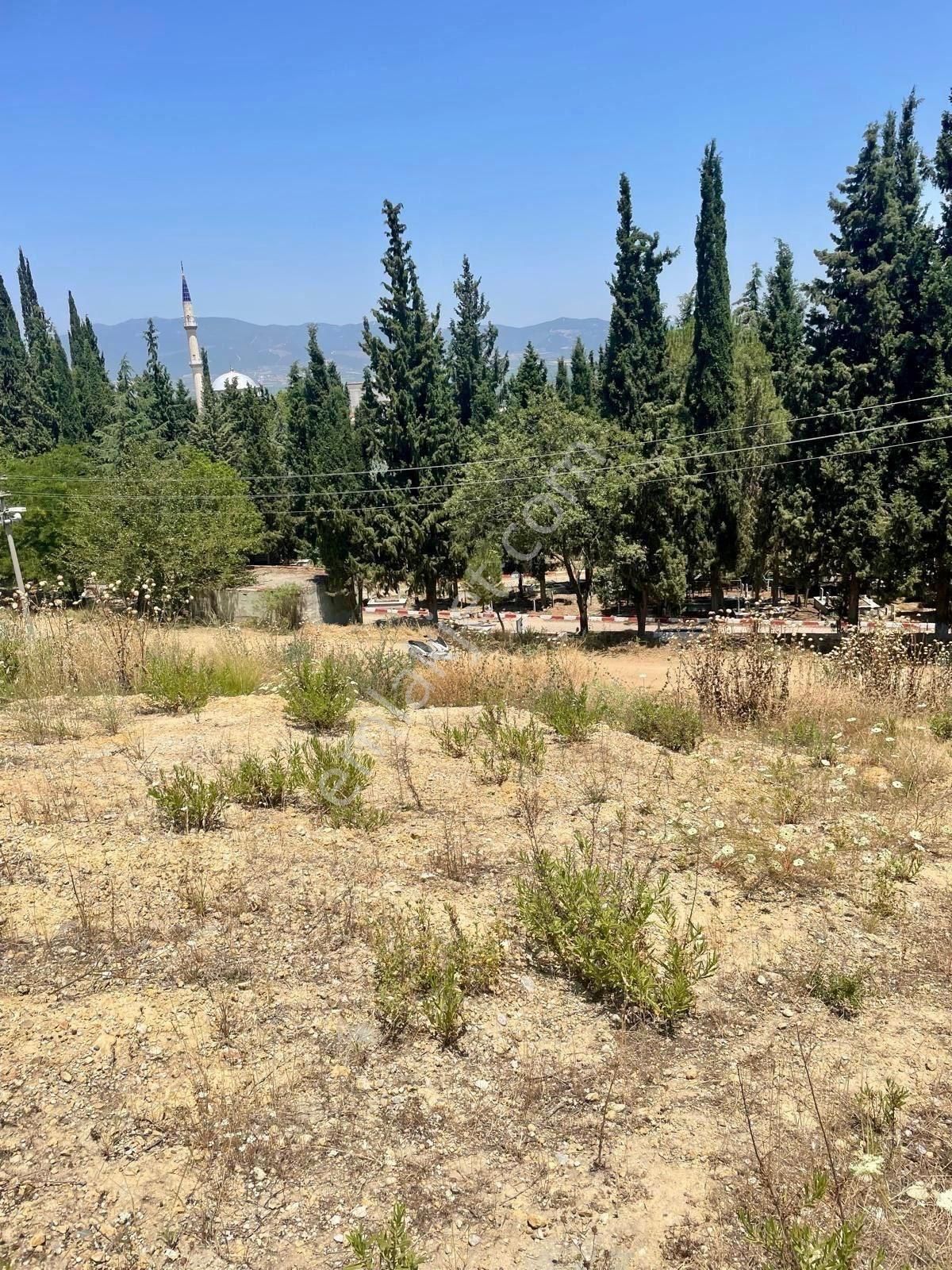Turgutlu Derbent Konut İmarlı 317 M2 Satılık Arsa
