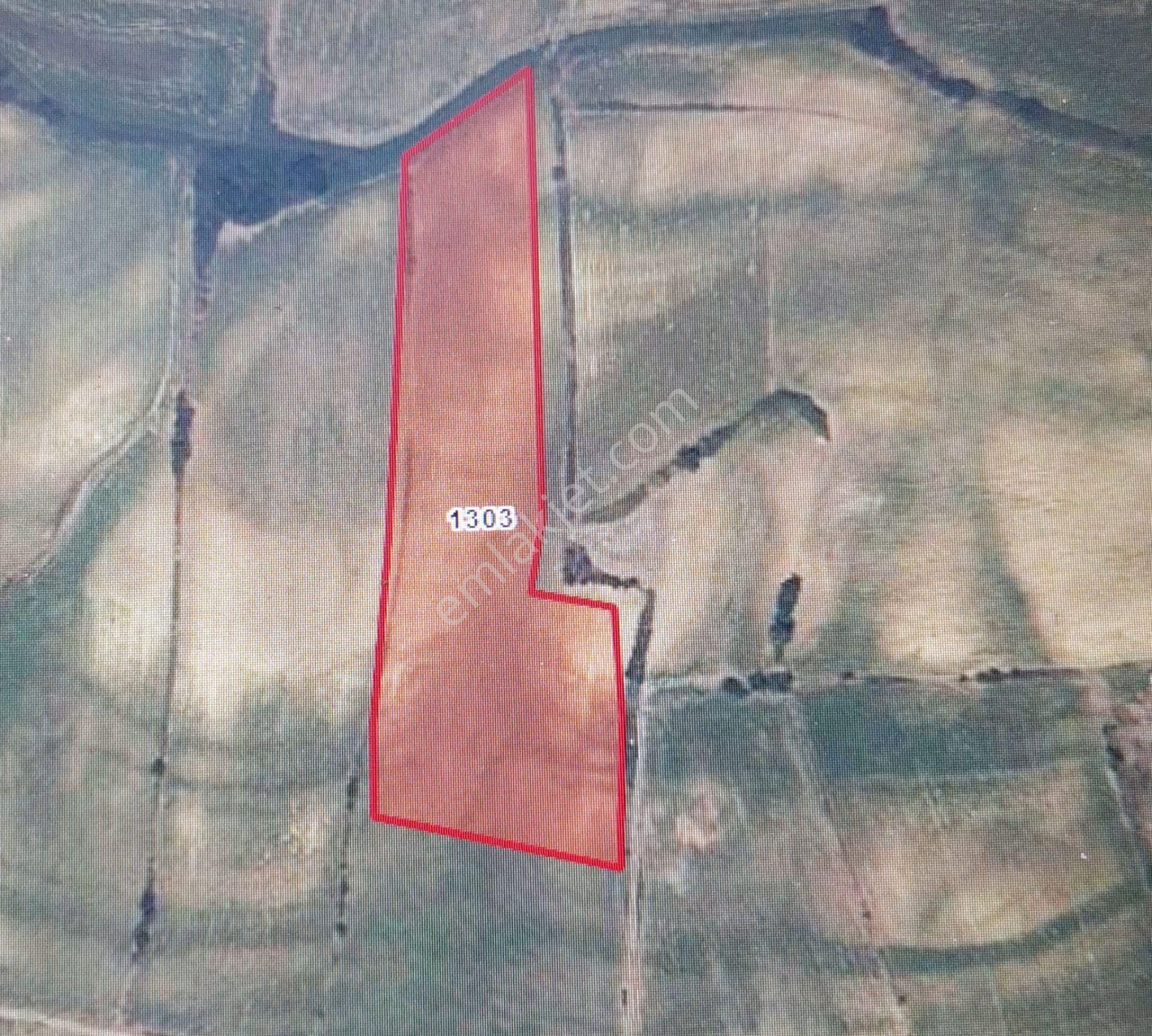 Edirne Keşan Paşayiğit'de 18.150m2 Yatırıma Uygun Satılık Tarla