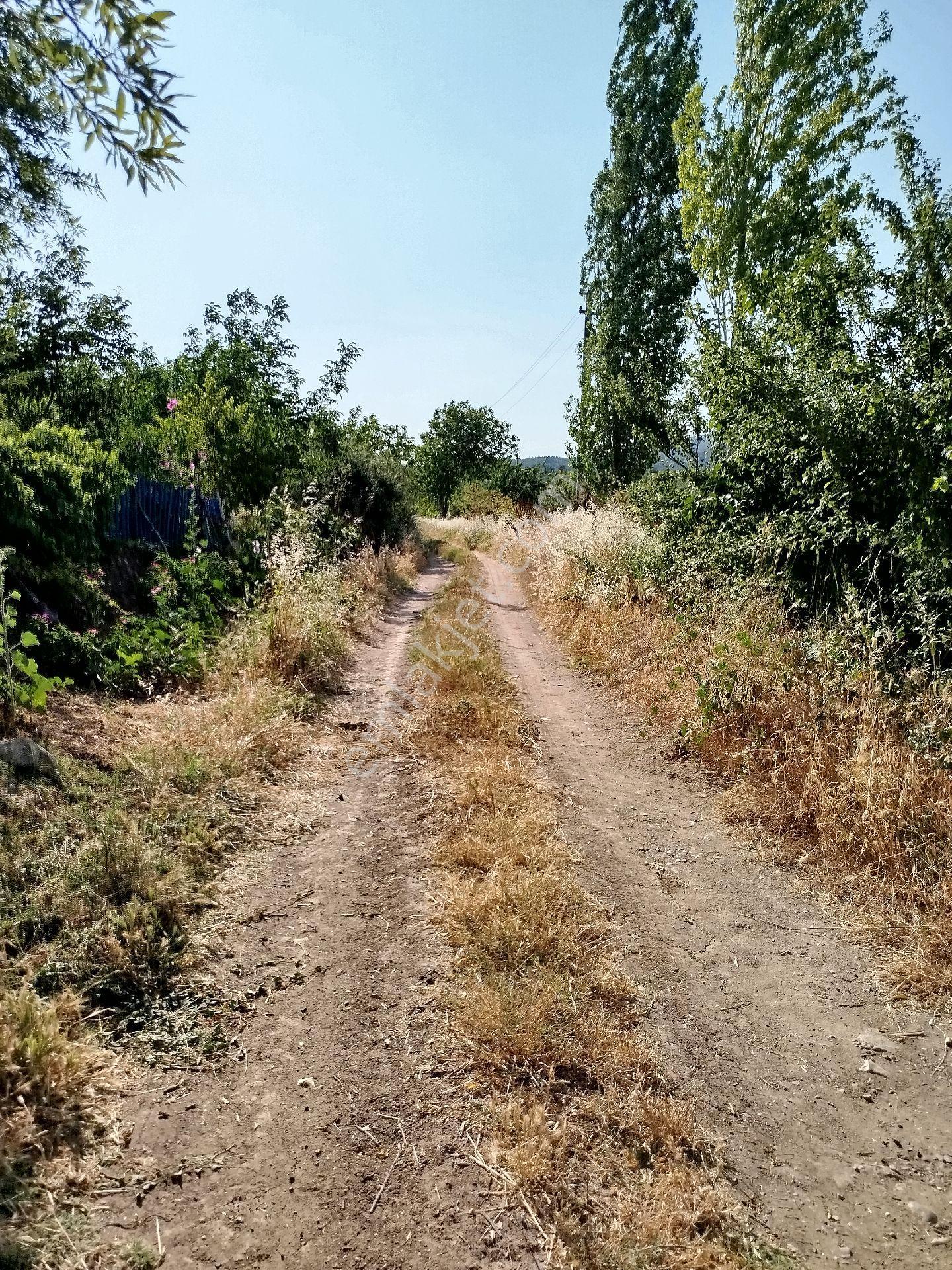 Konumu Yeri Güzel Cevizlik - Görsel 5