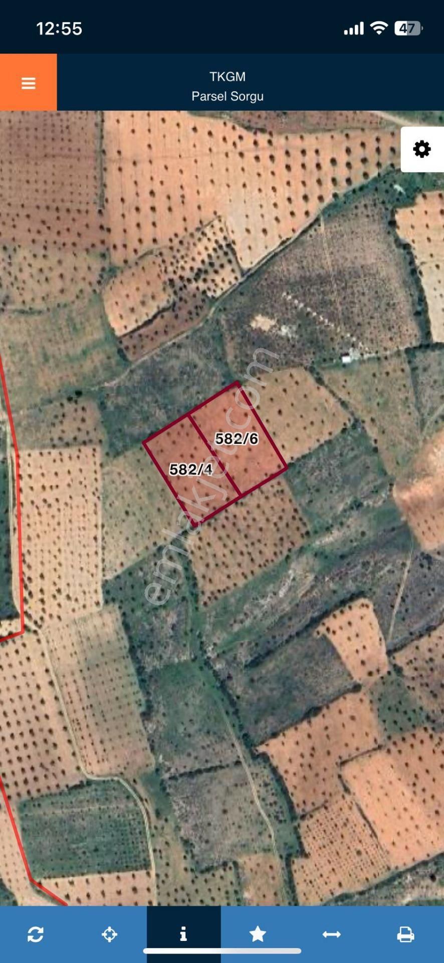 Ertaş Group'tan Kilis Merkez Öncüpınar'da Satılık Zeytin Bahçesi