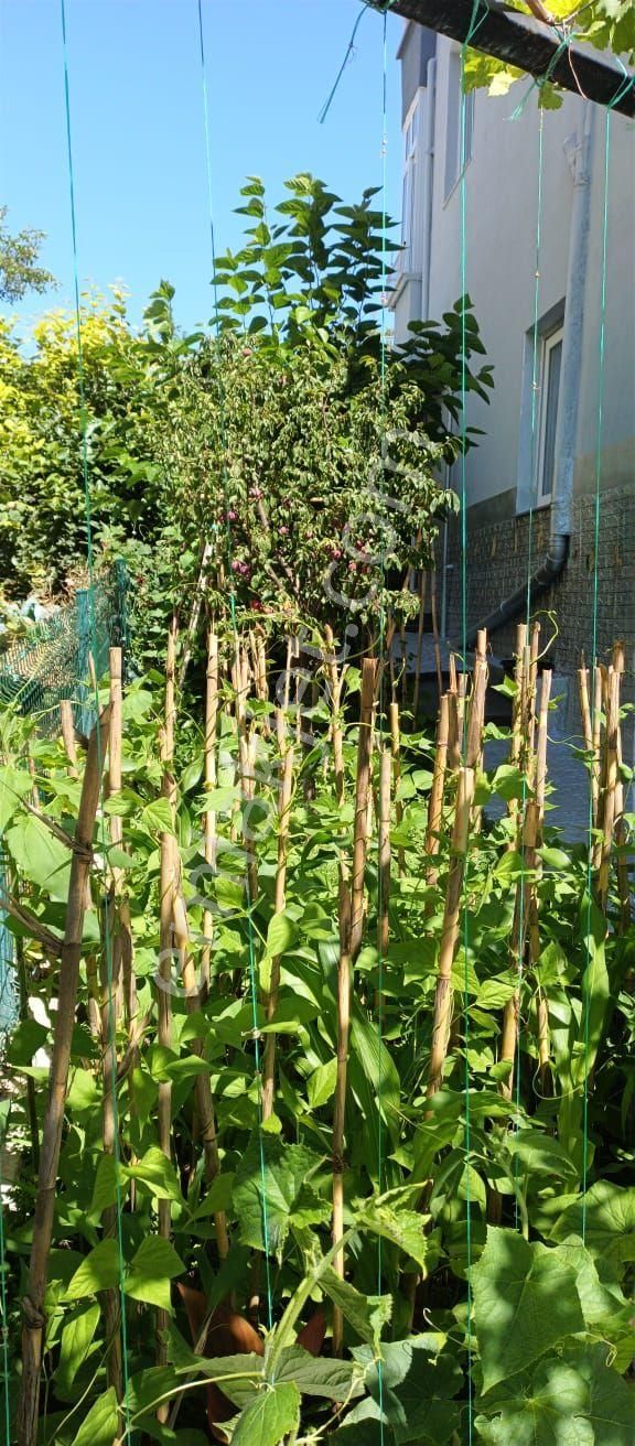 Mersin Erdemli İlemin Yaylası Satılık 3+1 Dubleks Villa - Görsel 8