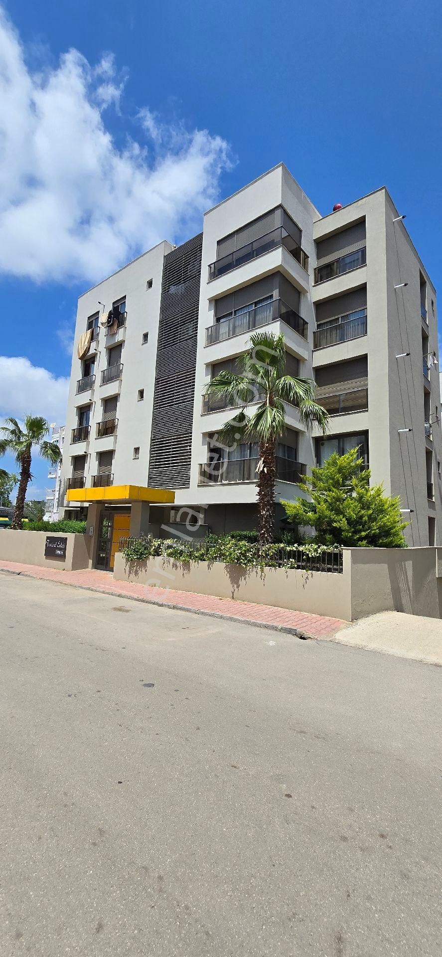 Meydankavağı Kiralık